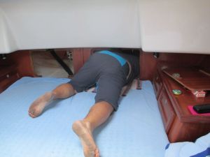 ...ich bin wie eine Katze!