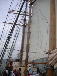 KONICA MINOLTA DIGITAL CAMERA